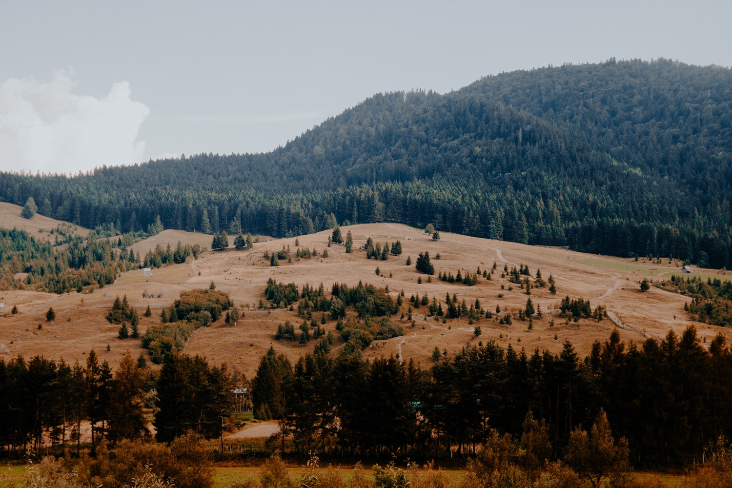 mountain view