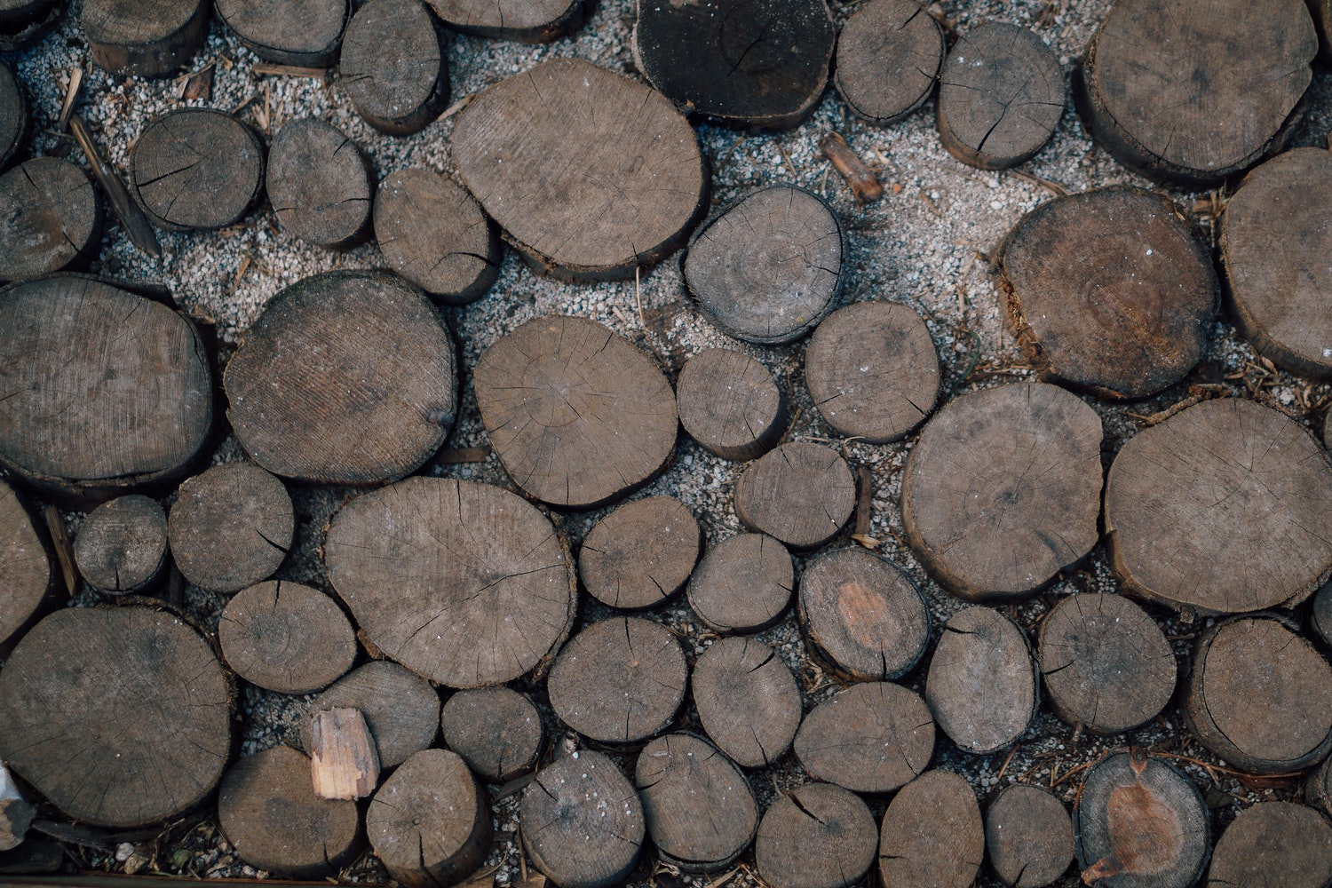 stepping stones